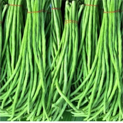 IMP YARD LONG BEANS KIRTIKA